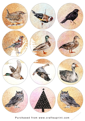 Christmas Tags/Labels Birds in Circles