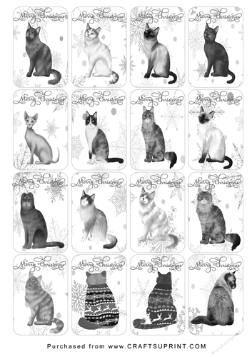 Christmas Tags/Labels Cats