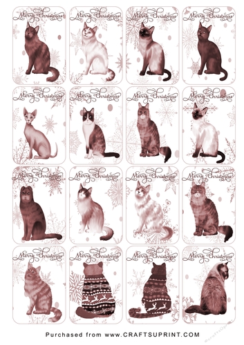 Christmas Tags/Labels Cats