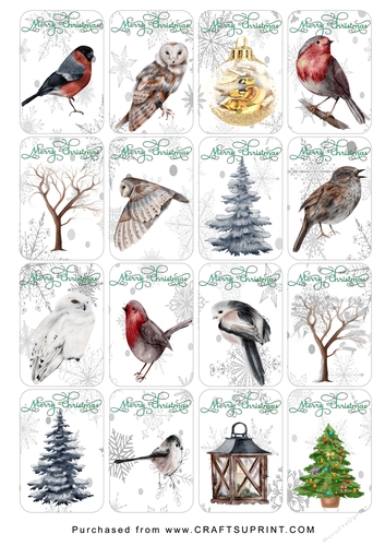 Christmas Tags/Labels Wild Birds