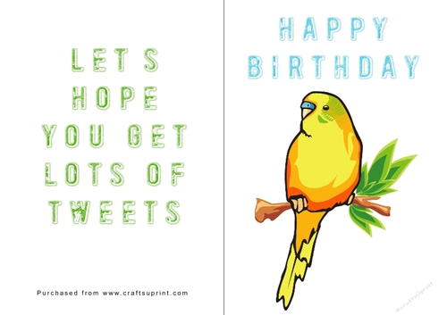 No Cut Just Print Birthday Card - Birds