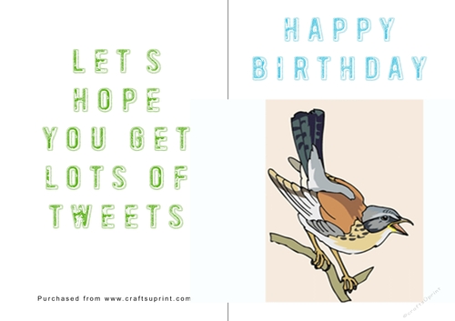 No Cut Just Print Birthday Card - Birds