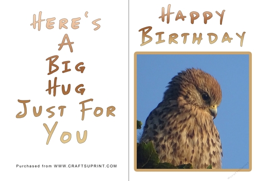 No Cut Just Print Birthday Card