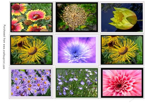 ATC Card Fronts Set