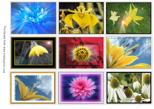 ATC Card Fronts Set