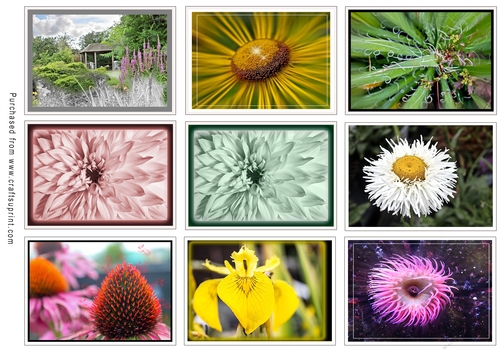 ATC Card Fronts Set