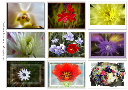 ATC Card Fronts Set