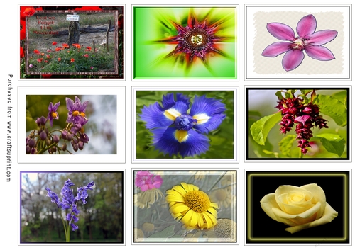ATC Card Fronts Set