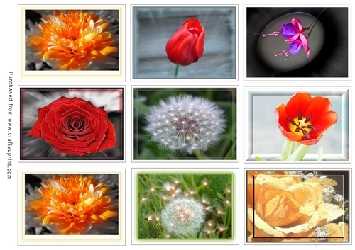 ATC Card Fronts Set