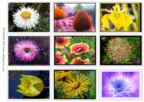 ATC Card Fronts Set
