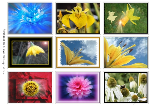 ATC Card Fronts Set
