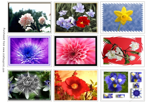 ATC Card Fronts Set