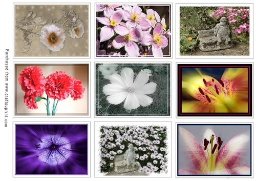 ATC Card Fronts Set