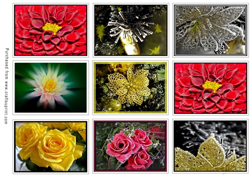 ATC Card Fronts Set