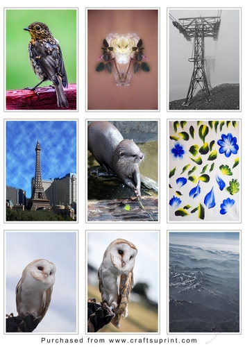 ATC Card Fronts Set