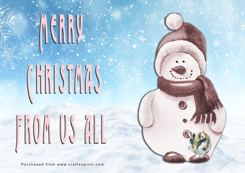 No Cut Just Print Christmas Cards - Watercolour Ornaments