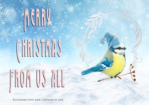 No Cut Just Print Christmas Cards - Watercolour Birds