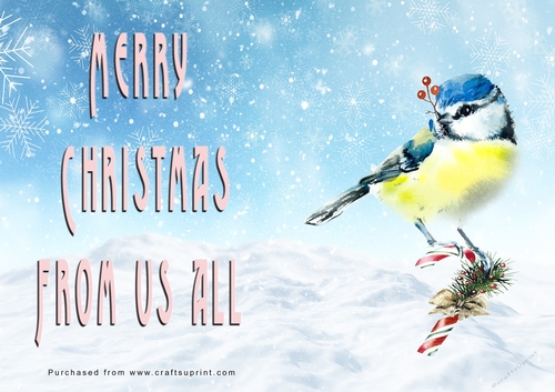 No Cut Just Print Christmas Cards - Watercolour Birds
