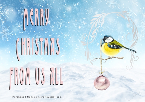 No Cut Just Print Christmas Cards - Watercolour Birds