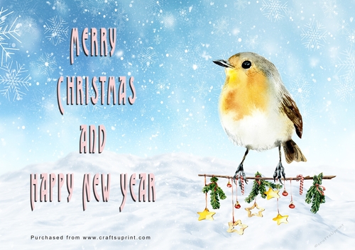 No Cut Just Print Christmas Cards - Watercolour Birds