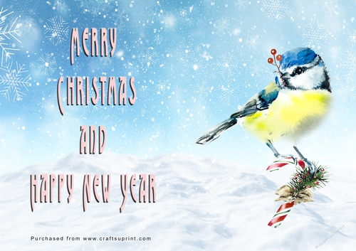 No Cut Just Print Christmas Cards - Watercolour Birds