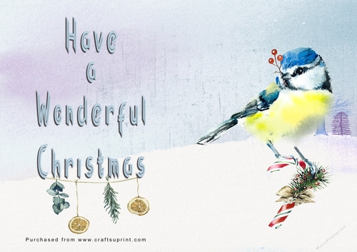 No Cut Just Print Christmas Cards - Watercolour Birds