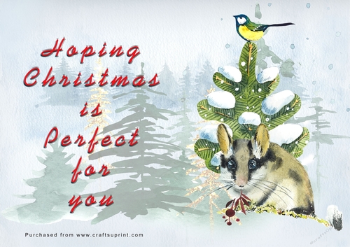 No Cut Just Print Christmas Cards - Watercolour WIld Animals