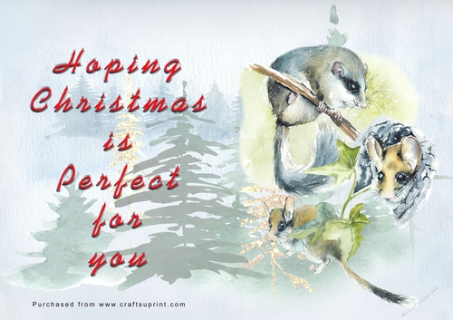 No Cut Just Print Christmas Cards - Watercolour WIld Animals