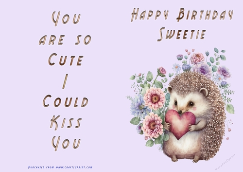 NCJP - Happy Birthday Sweetie - Hedgehog with heart