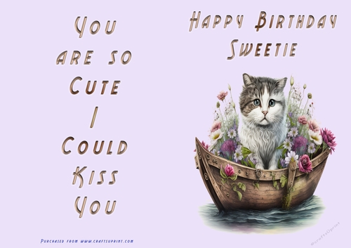 NCJP - Happy Birthday Sweetie - Cat in Boat