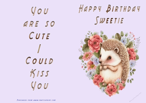 NCJP - Happy Birthday Sweetie - Hedgehog in Heart