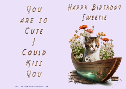 NCJP - Happy Birthday Sweetie - Kitten in Boat