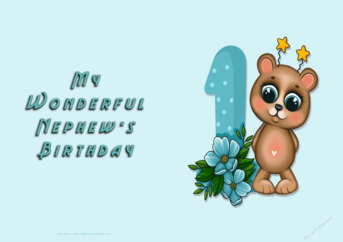 NCJP - Wonderful Nephews Birthday - 1st with bear