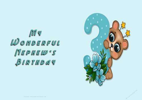 NCJP - My Wonderful Nephews Birthday 3rd with bear