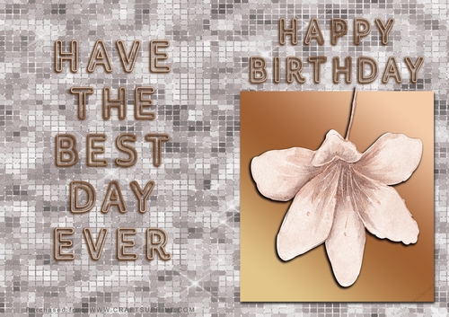 NCJP - Birthday Card - Flower in Gold frame