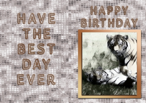NCJP - Birthday Card - Tigers in Gold Frame
