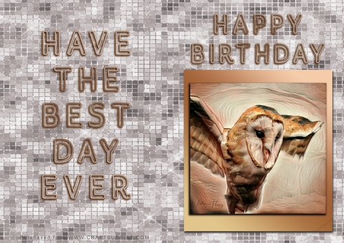 NCJP - Happy Happy Birthday - Owl Painting in gold frame