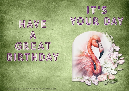 NCJP - Its Your Day - Flamingo in Frame