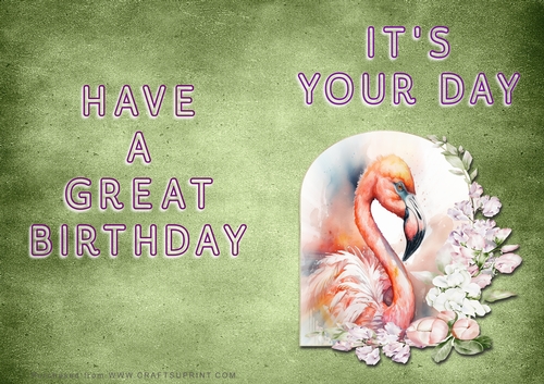 NCJP - Its Your Day - Flamingo in Frame