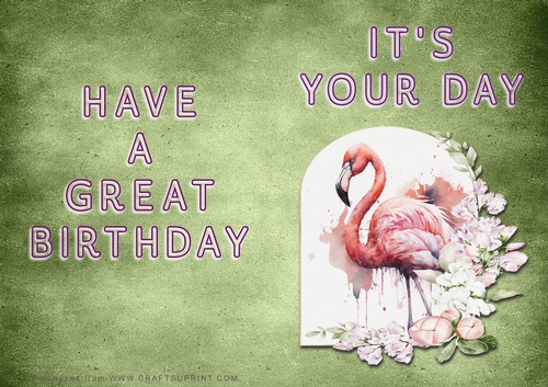 NCJP - Its Your Day - Flamingo in Frame