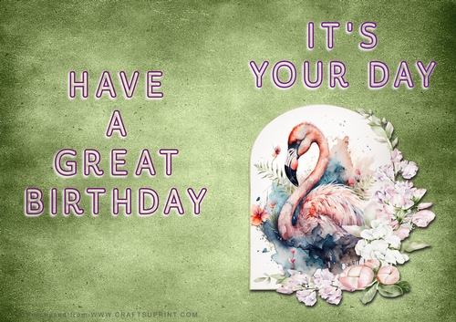 NCJP - Its Your Day - Flamingo in Frame