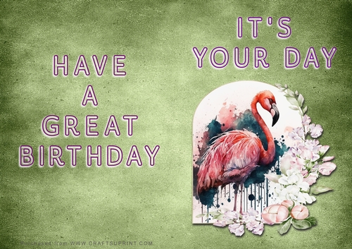 NCJP - Its Your Day - Flamingo in Frame