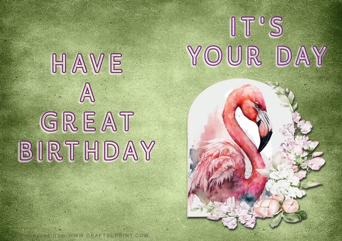 NCJP - Its Your Day - Flamingo in Frame