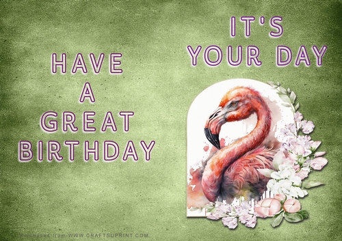 NCJP - Its Your Day - Flamingo in Frame