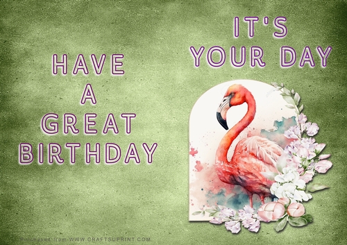 NCJP - Its Your Day - Flamingo in Frame