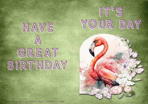 NCJP - Its Your Day - Flamingo in Frame