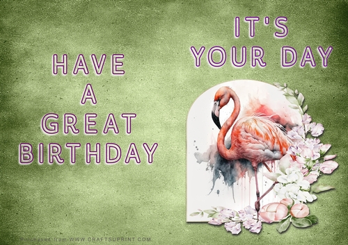 NCJP - Its Your Day - Flamingo in Frame
