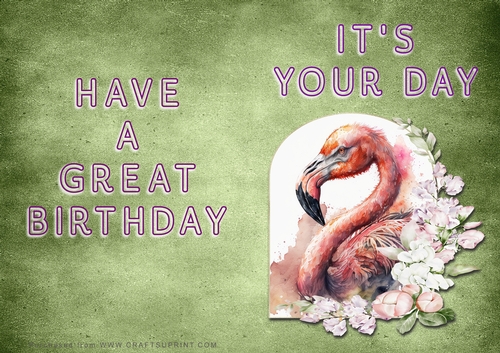 NCJP - Its Your Day - Flamingo in Frame