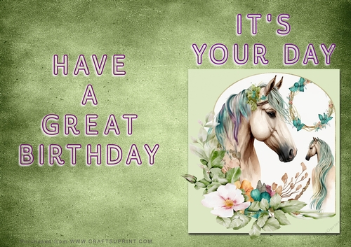 NCJP - Its Your Day - Horse in Frame