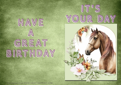 NCJP - Its Your Day - Horse in Frame